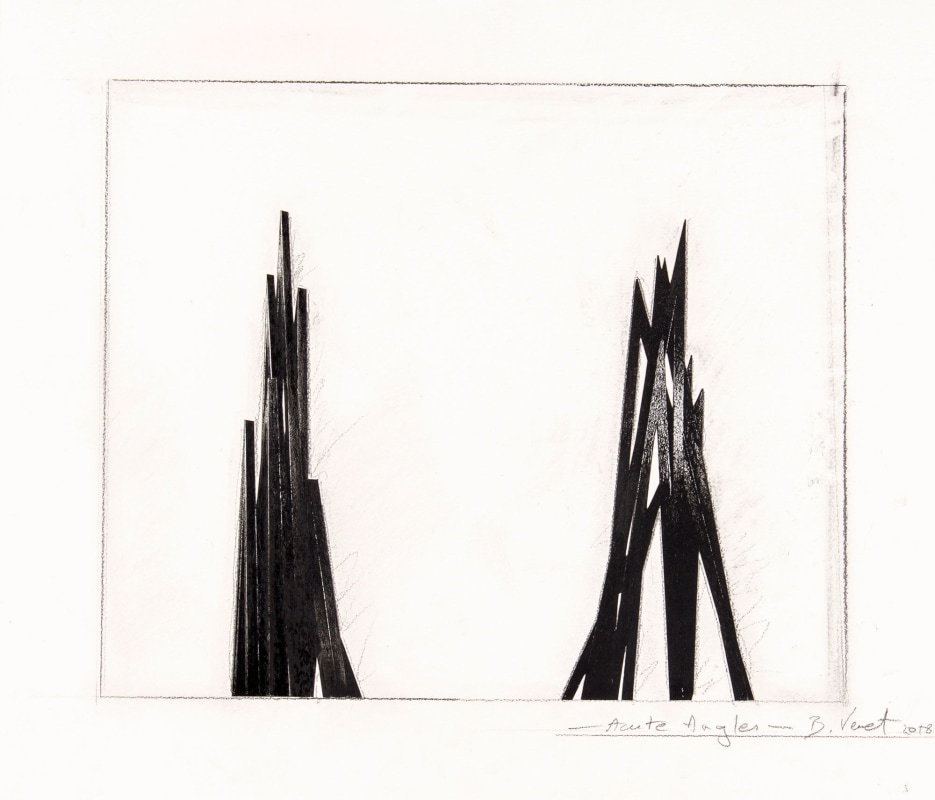 Bernar Venet