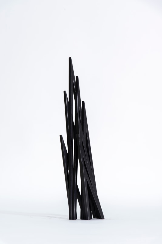 Bernar Venet