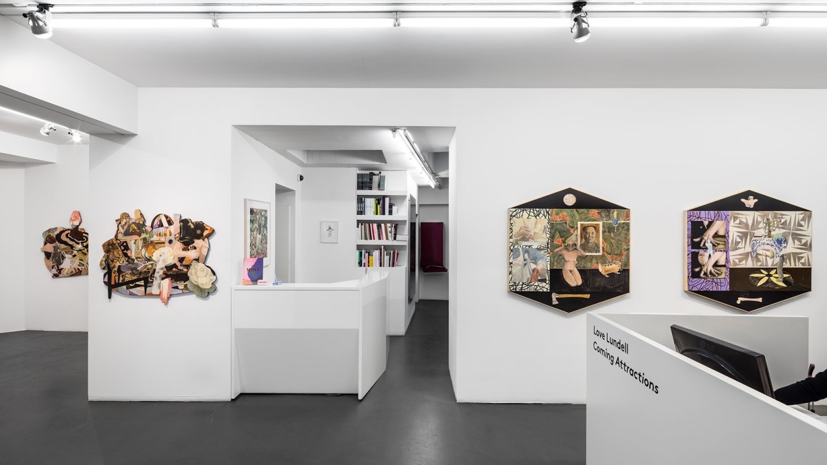 Installation Shot, Coming Attractions, 2015