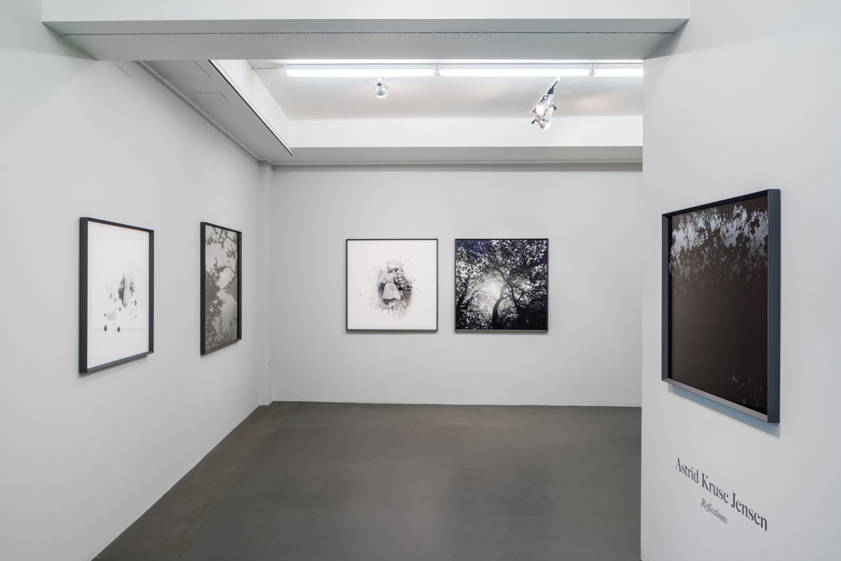 Installation Shot, Reflections, 2016