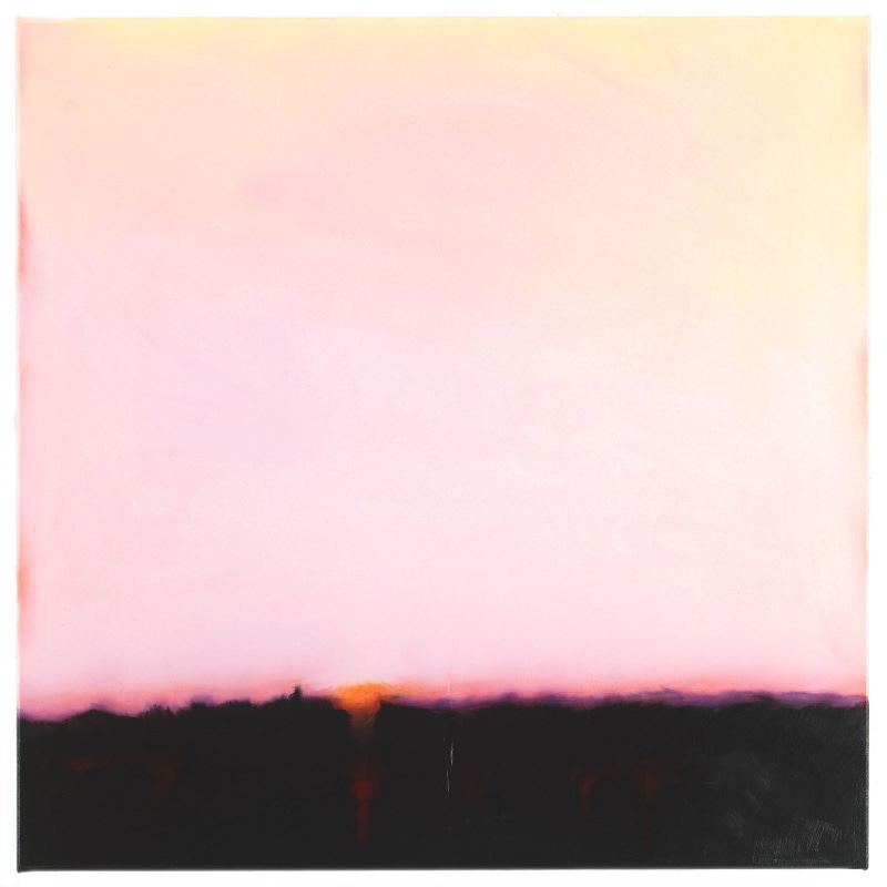 Film Edge (Pink Sky, Pink Horizon), Isca Greenfield-Sanders