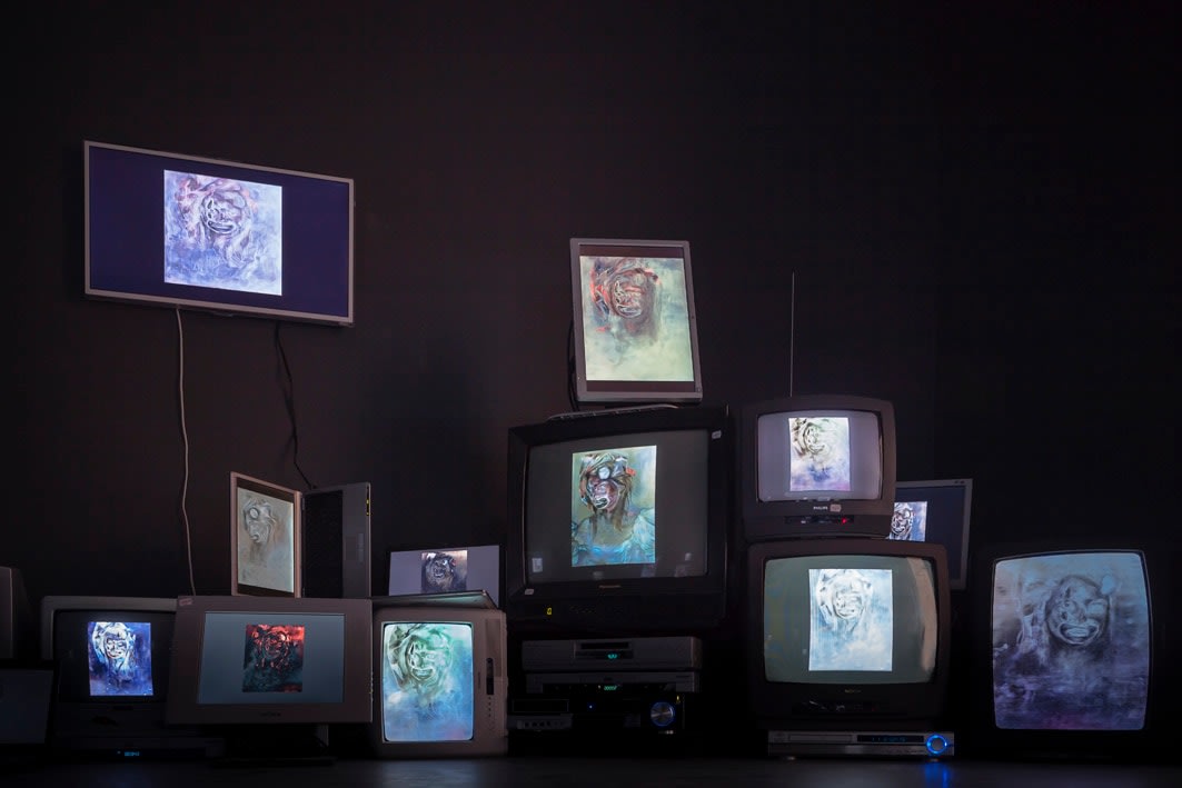 Installation Shot, ugly =&ne; beauty pretty never, 2013