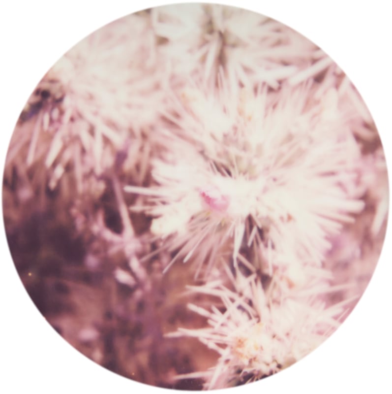 Astrid&nbsp;Kruse Jensen, Resonance #5, 2021