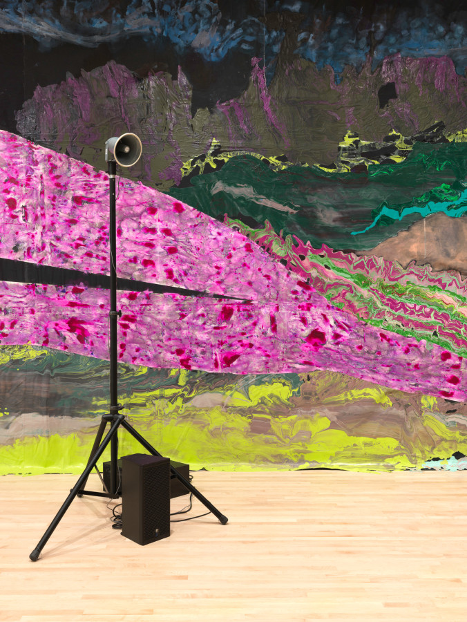 New Work: Rodney McMillian, San Francisco Museum of Modern Art