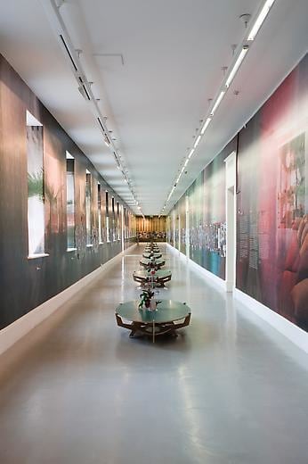 Jorge Pardo Installation view