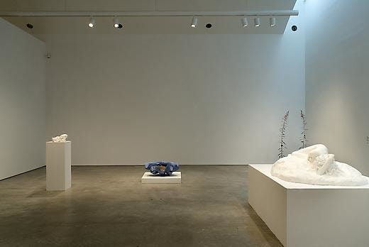 Keith Edmier Installation view