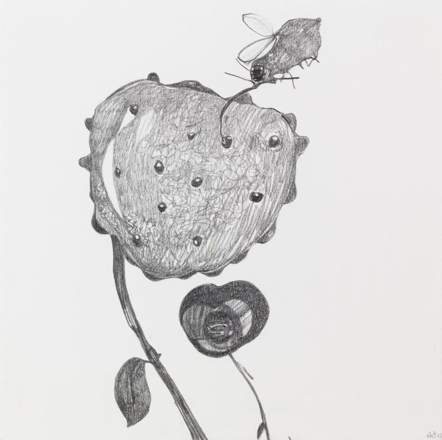 Nicola Tyson, Nectar
