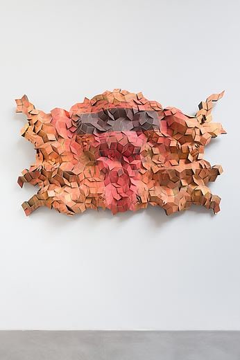 Untitled 2008 Inkjet print on paper and MDF
