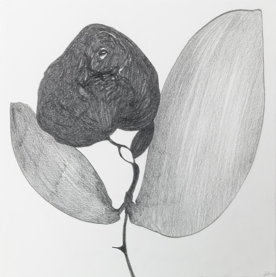Nicola Tyson, Stoned Rose