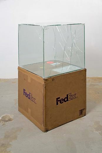 FedEx® Large Craft Box ©2005 FEDEX 330508 REV 10/05 SSCC), International Priority, Los Angeles-Tijuana trk#865282057997, October 28-November 3, 2008, International Priority, Tijuana-Los Angeles trk#867279774918, January 2-6, 2009,