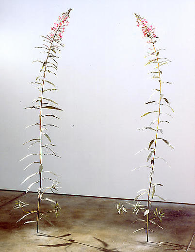 Fireweed 2002-2003 Various materials