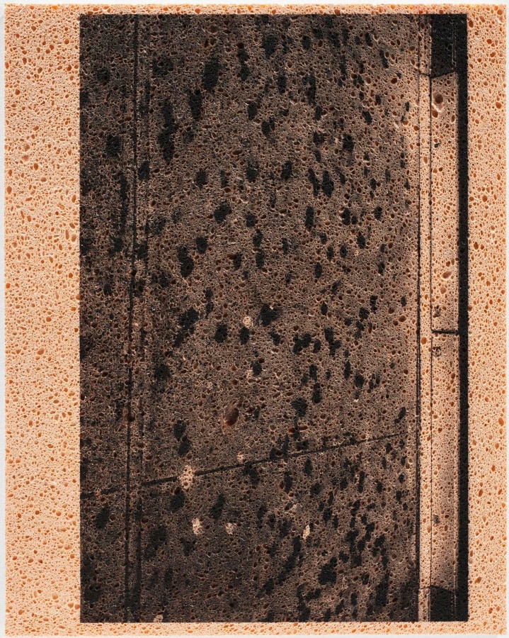 Adam McEwen Untitled