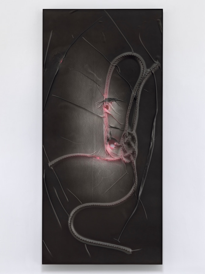 Seth Price, Untitled