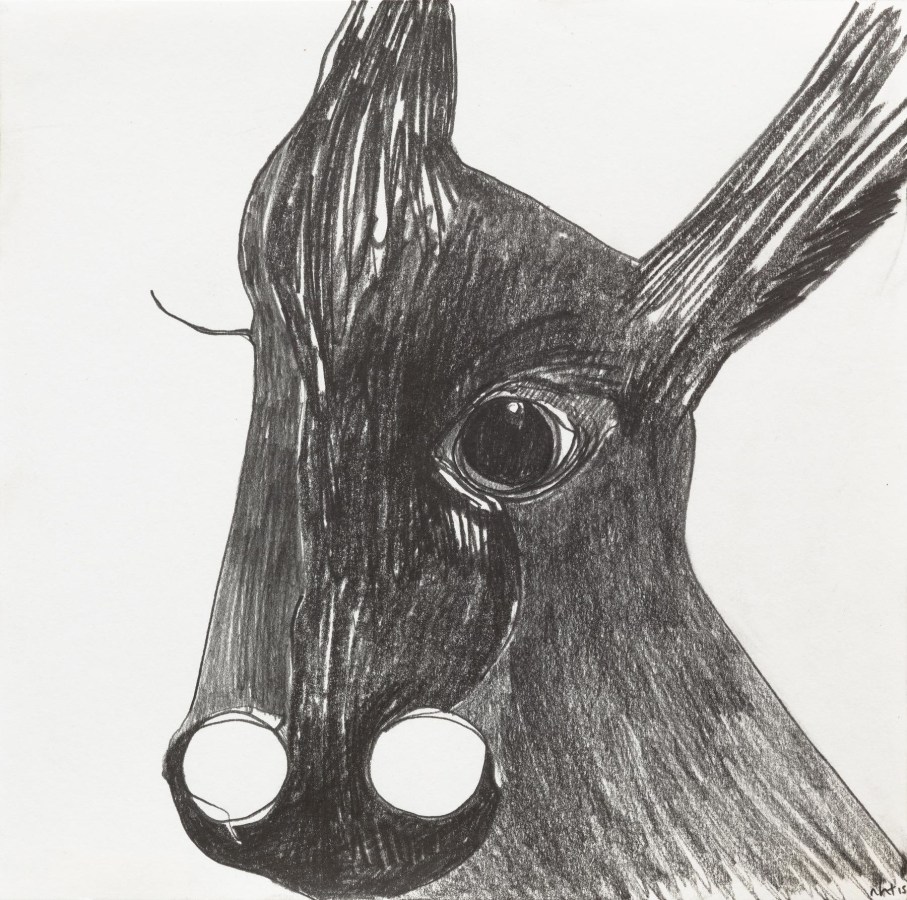 Nicola Tyson, Donkey Nostrils