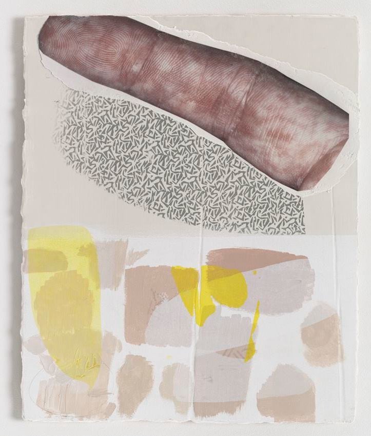 Seth Price, Skin Color Test Scrap