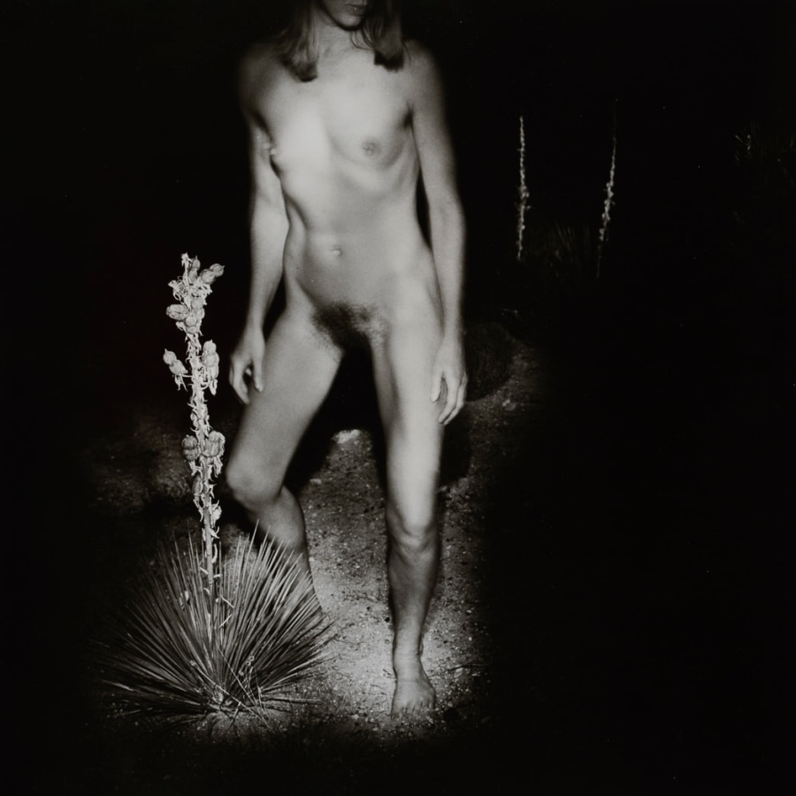 Woman in desert by Siegfried Halus