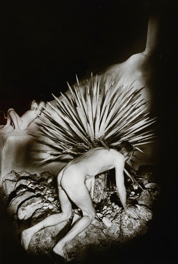 Man with cactus by Siegfried Halus