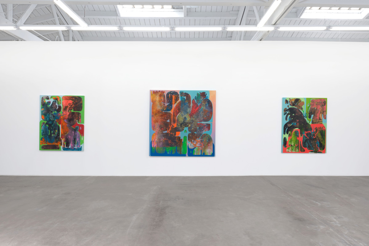 Installation view 9 of&nbsp;Vian Sora: Subduction