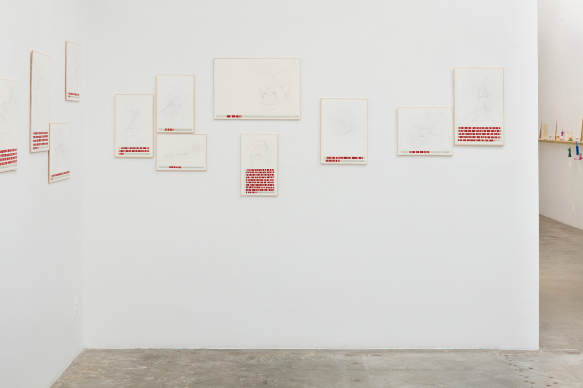 Installation view of Danica Phelps: Many Drops Fill a Bucket