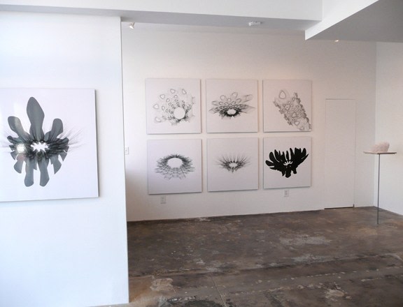 Installation View of Christopher Puzio: Big Beaver