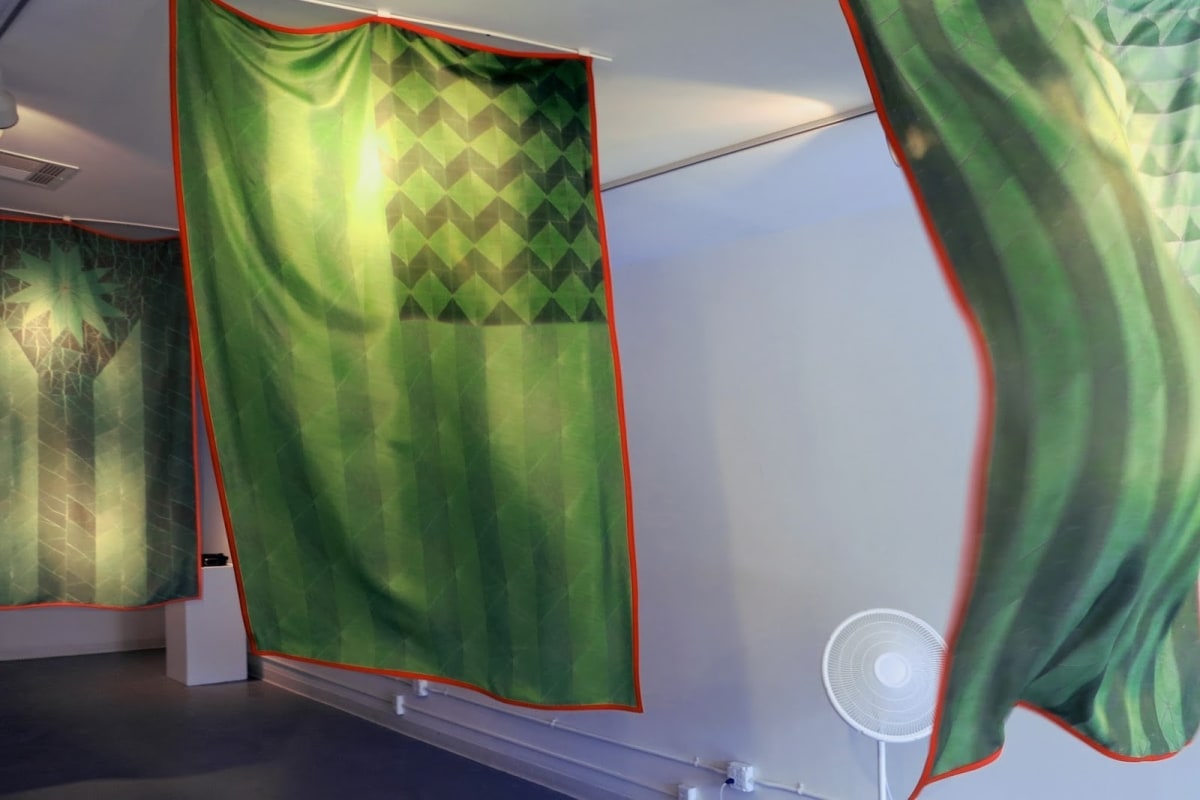 Installation view of TropicalamericanInstallation view of Tropicalamerican