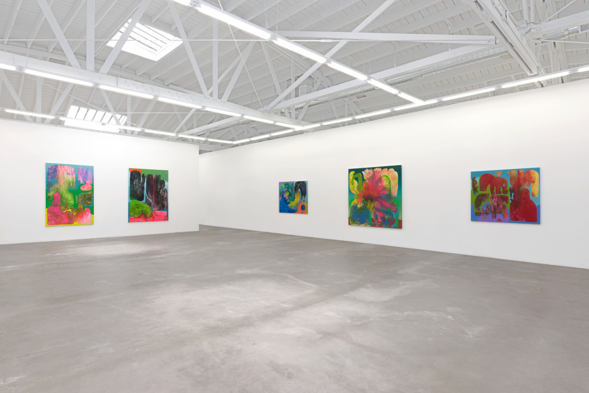 Installation view 4 of&nbsp;Vian Sora: Subduction
