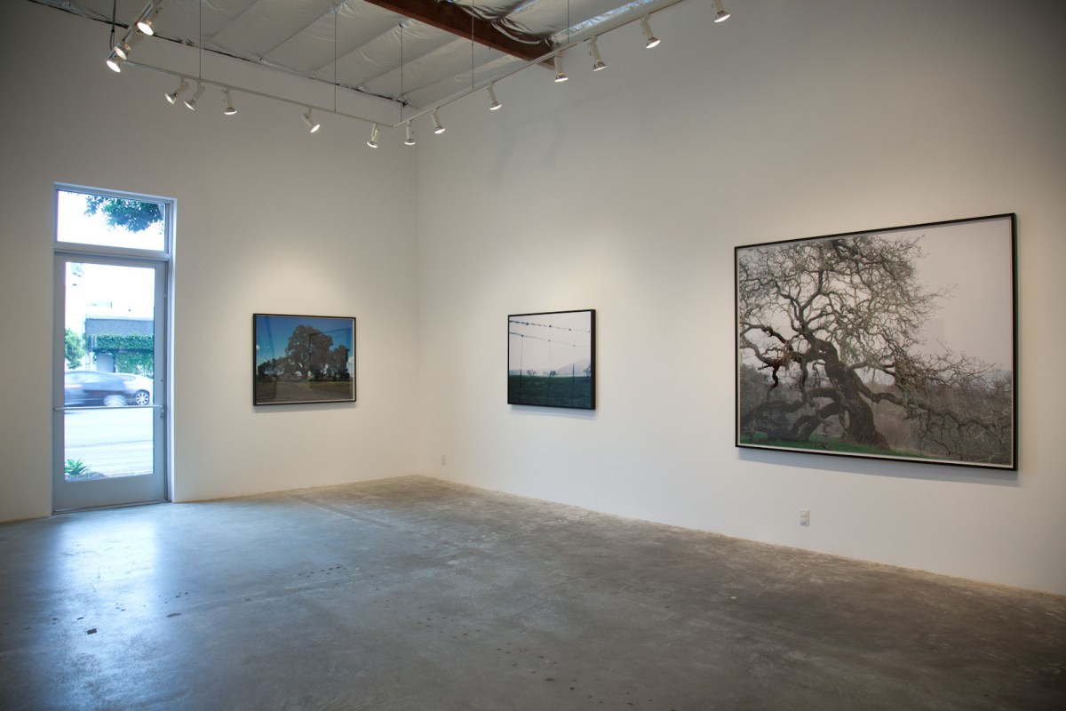 Installation View of Ken Gonzales-Day: Profiled | Hang Trees | Portraits