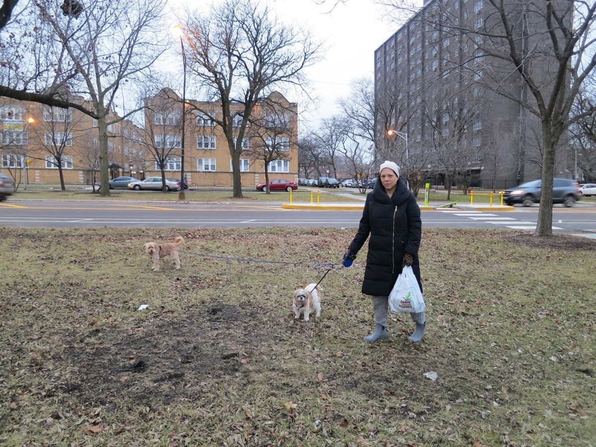 Edra Soto walking her dogs and collecting liquor bottles in the East Garfield Park neighborhood of Chicago.