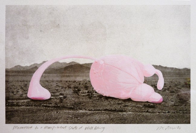 Miyoshi Barosh Monument to a Manipulated State of Well Being, 2013