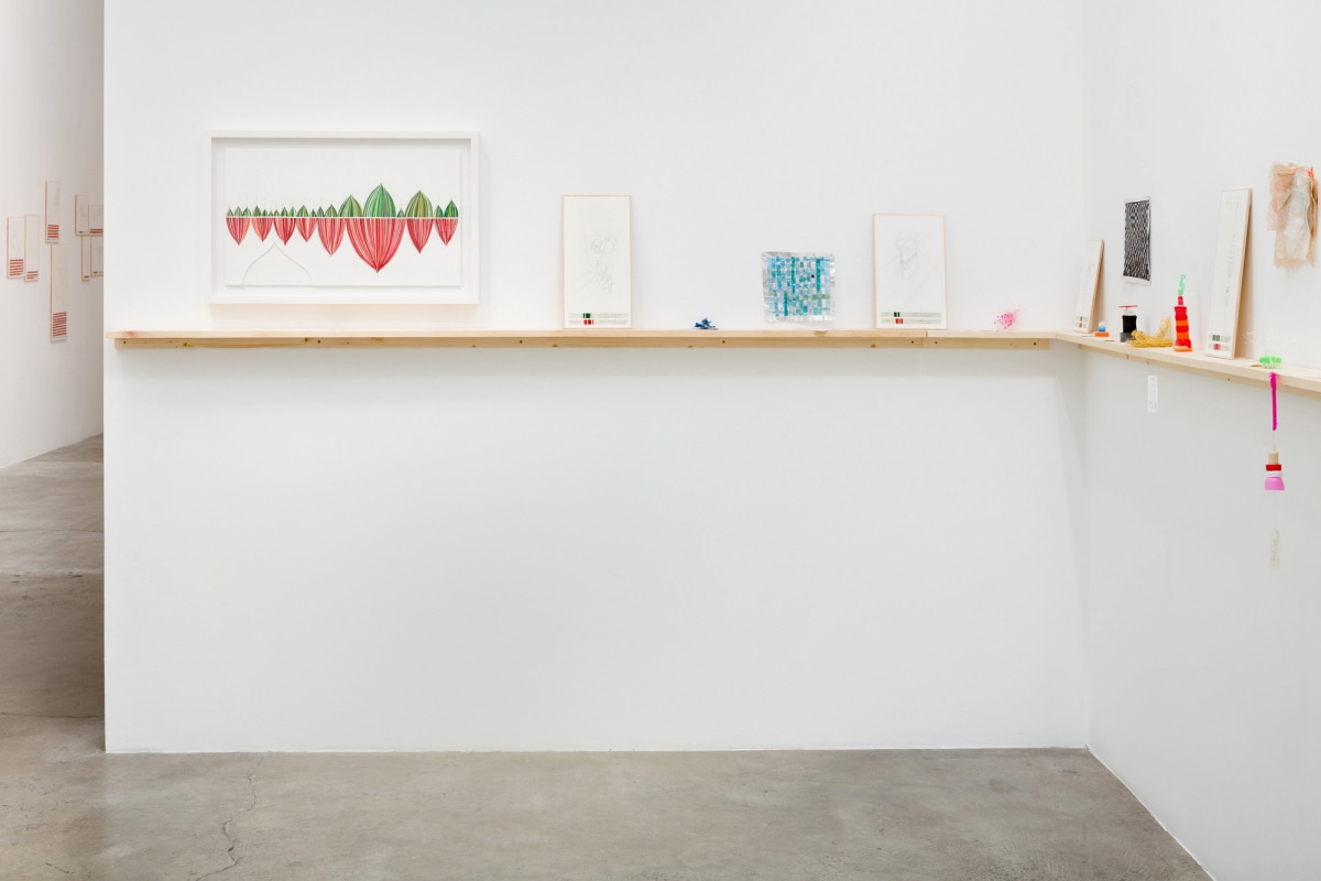 Installation view of Danica Phelps: Many Drops Fill a Bucket