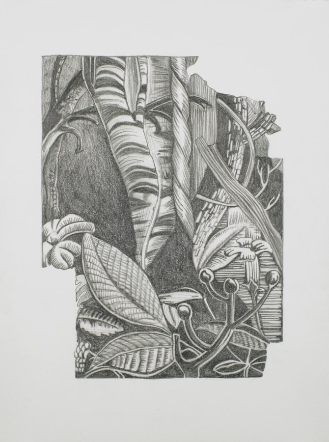 Ken Gonzales-Day, Untitled (After William Jennings, At the End of the Rope, 1935), 2021, Archival ink and pencil on Arches BFK Rives, 15 x 11 in.