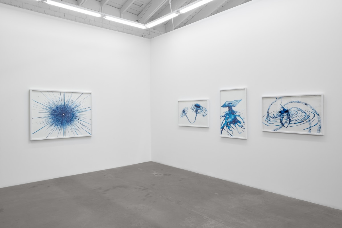 Installation view of&nbsp;Lia Halloran: Warped Side, on view from November 4 - December 22, 2023