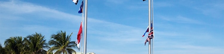  Antonia Wright &amp;amp; Ruben Millares