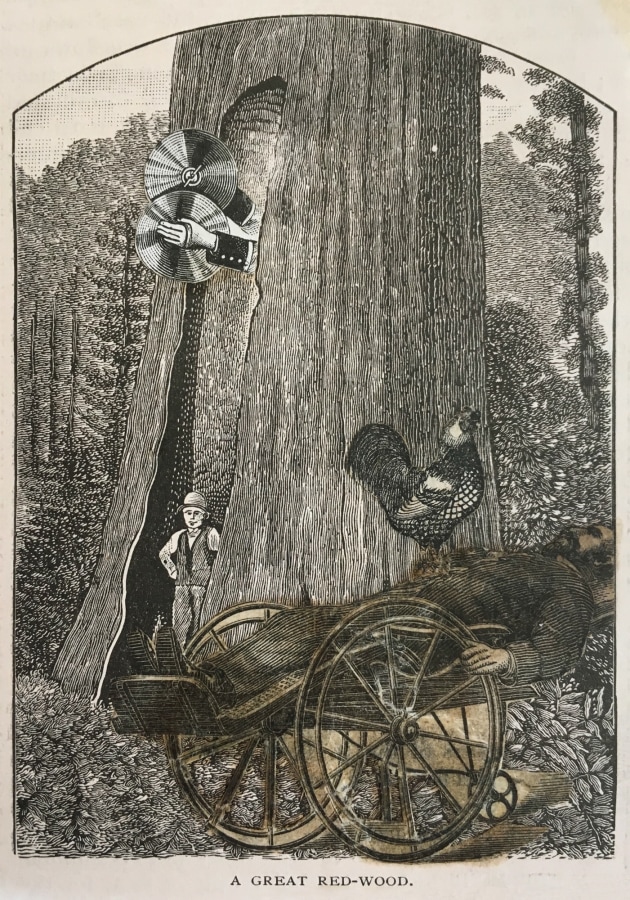 Nathan Gluck The Invalid, 1941