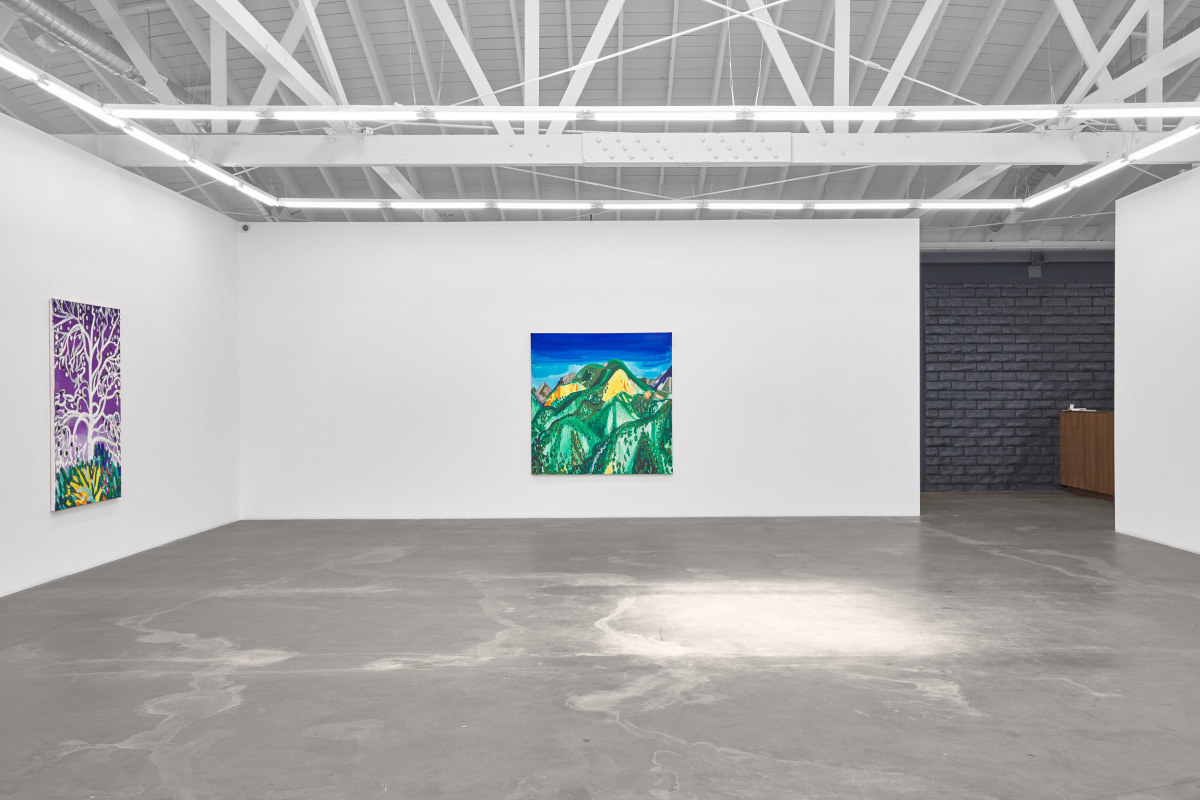 Installation view of ERIK OLSON: The Mountain and the Sea, on view June 17 - August 5, 2023