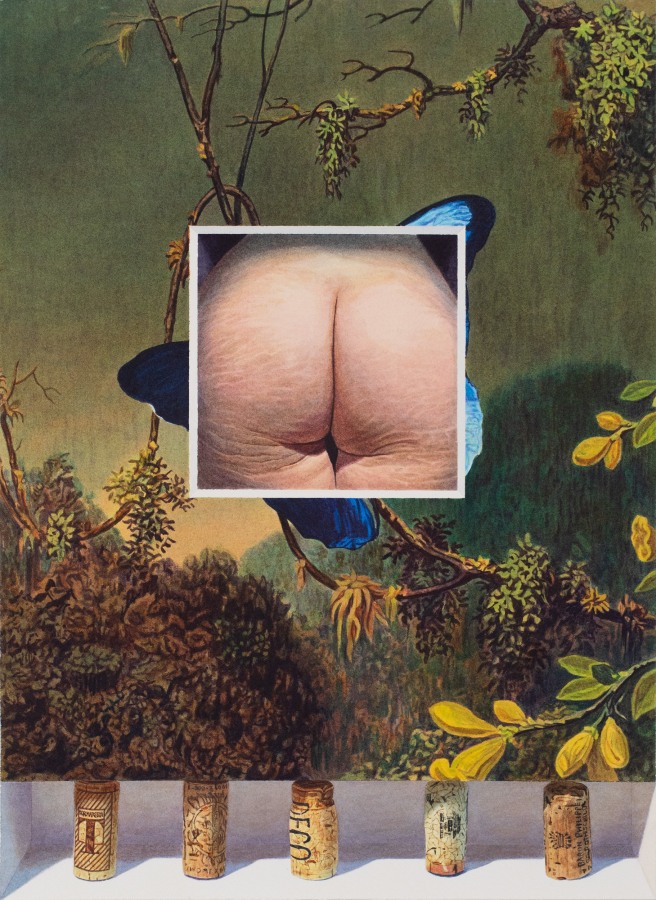 Tristram Lansdowne The Collector, 2024