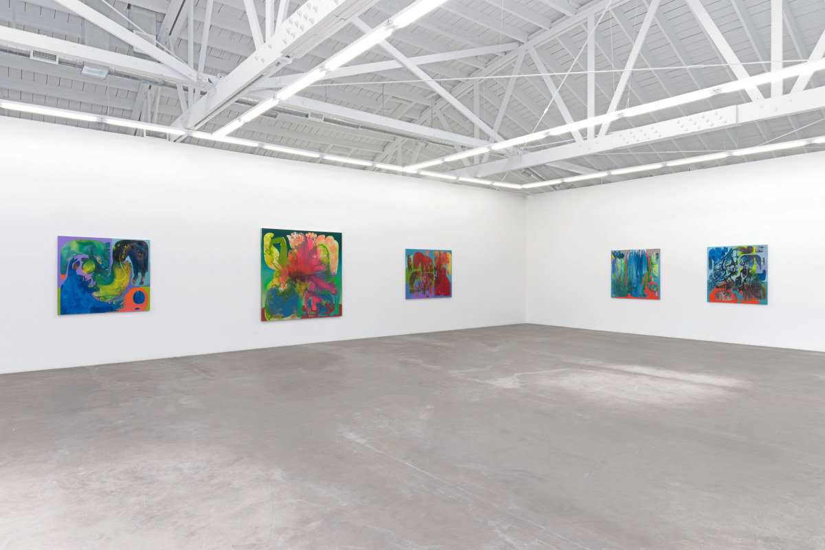 Installation view 6 of&nbsp;Vian Sora: Subduction
