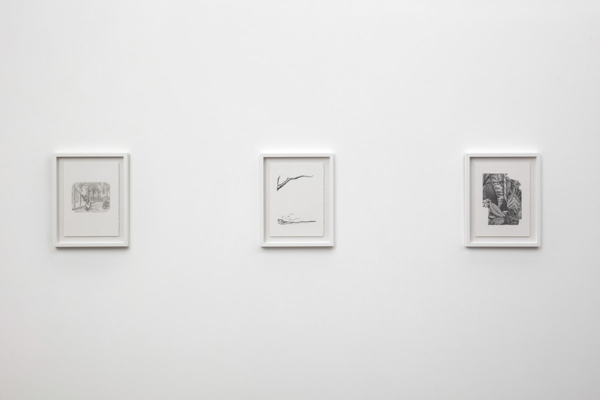 Ken Gonzales-Day, Another Land, 2022, Installation View 9