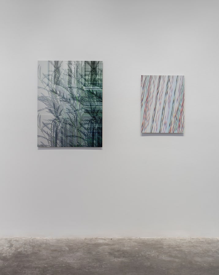 Installation View of Masood Kamandy: The Effect of Lightning on a Rainbow