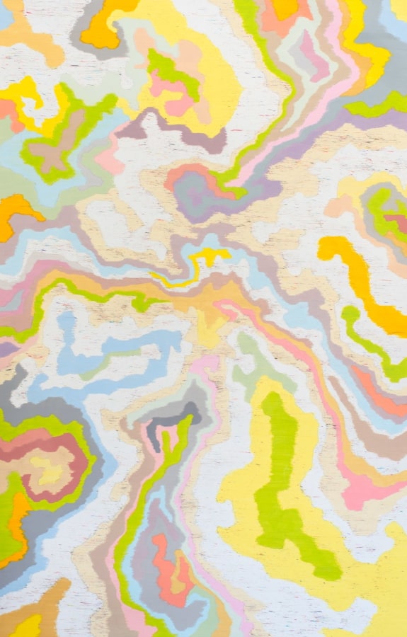 Dennis Koch Scrambled Channel (Depolarized Forms), 2014 Color pencil on paper  80 x 50 in.