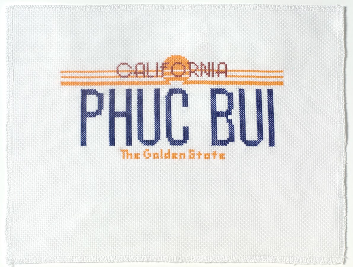 Phung Huynh Phuc Bui, 2020