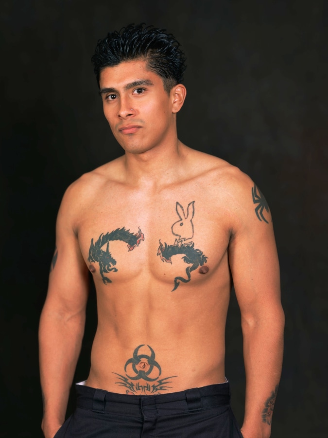 Ken Gonzales-Day Anthony, 2005-12 LightJet print on aluminum 40 x 30 in.