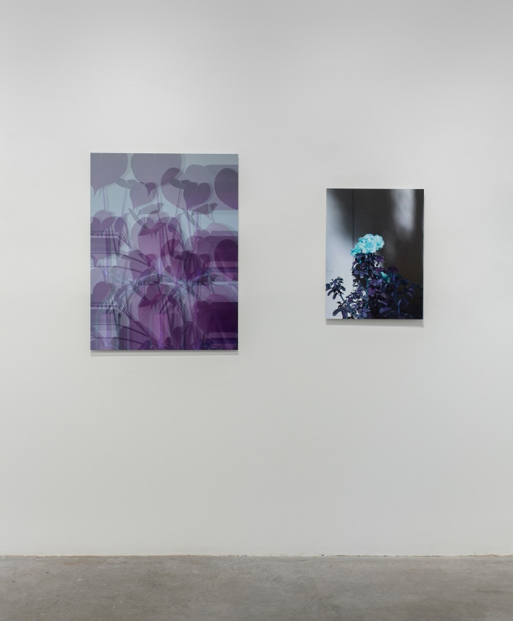 Installation View of Masood Kamandy: The Effect of Lightning on a Rainbow