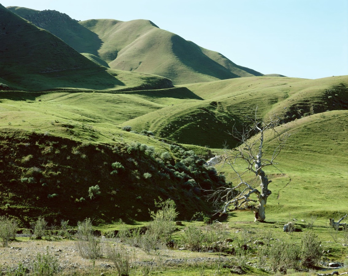 Ken Gonzales-Day About a hundred yards from the road, 2002