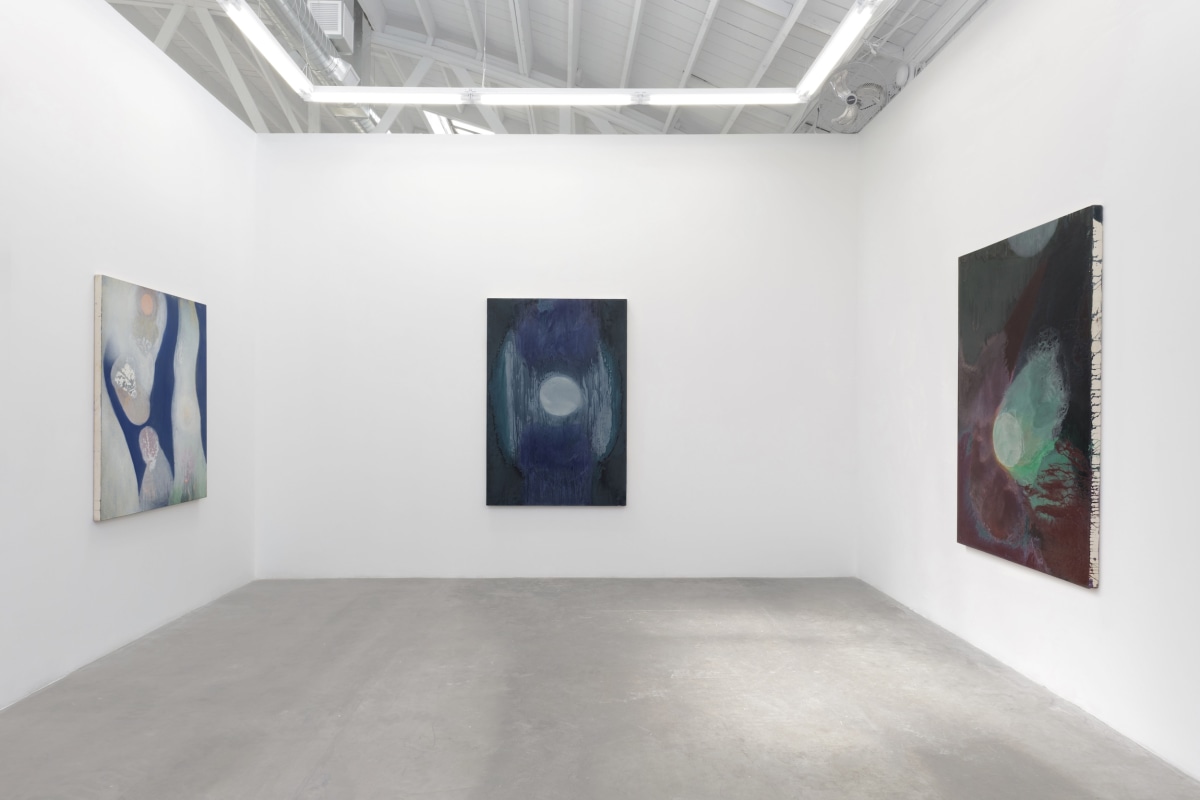 Installation View 6 of Nancy Evans: Moonshadow