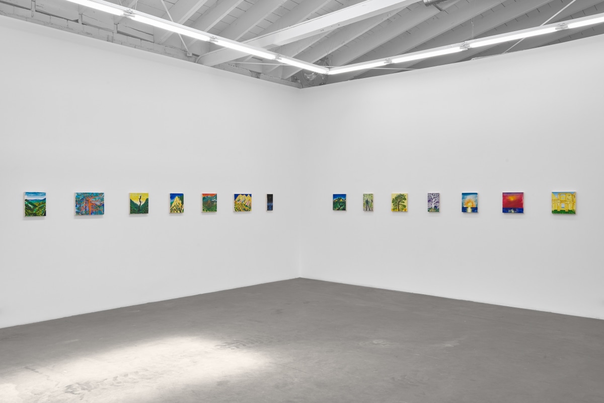 Installation view of ERIK OLSON: The Mountain and the Sea, on view June 17 - August 5, 2023