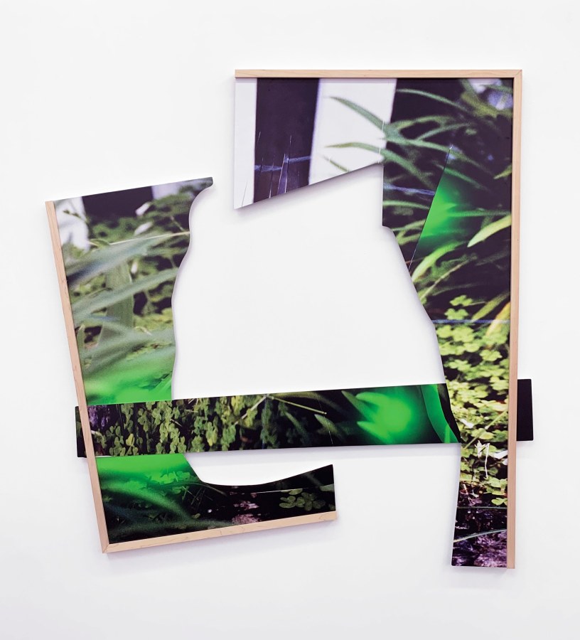 Kate Bonner, Guess work, 2022, UV ink on aluminum with frame, 48 x 46 in.