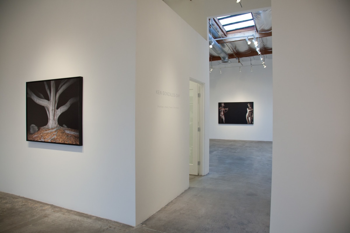 Installation View of Ken Gonzales-Day: Profiled | Hang Trees | Portraits