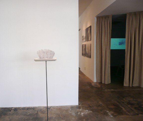 Installation View of Christopher Puzio: Big Beaver