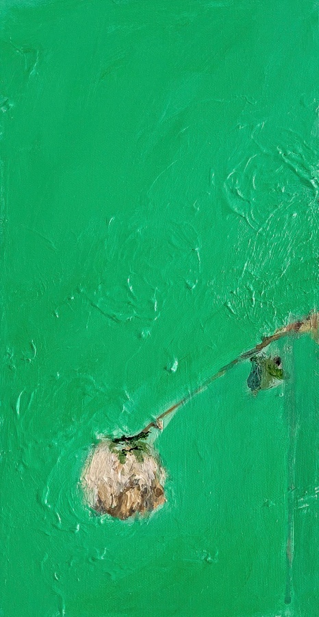 Aaron Maier-Carretero bloom on green, 2023